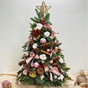 X207 Christmas Tree ( sold out )